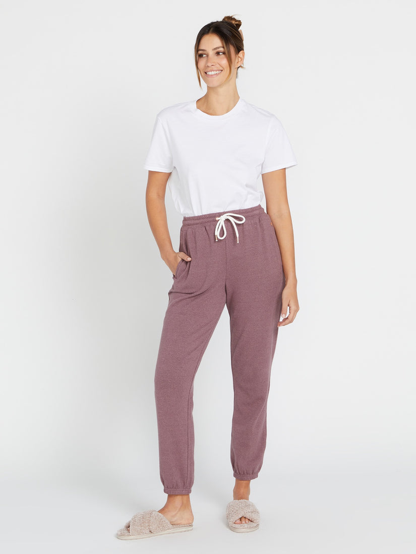 Lived in Lounge Elastic Waist Fleece Pants - Acai