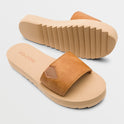 Not So Simple Slides - Tan