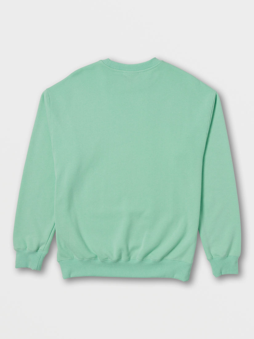 Single Stone Crew Sweatshirt - Lichen Grey (A4632213_LCG) [B]
