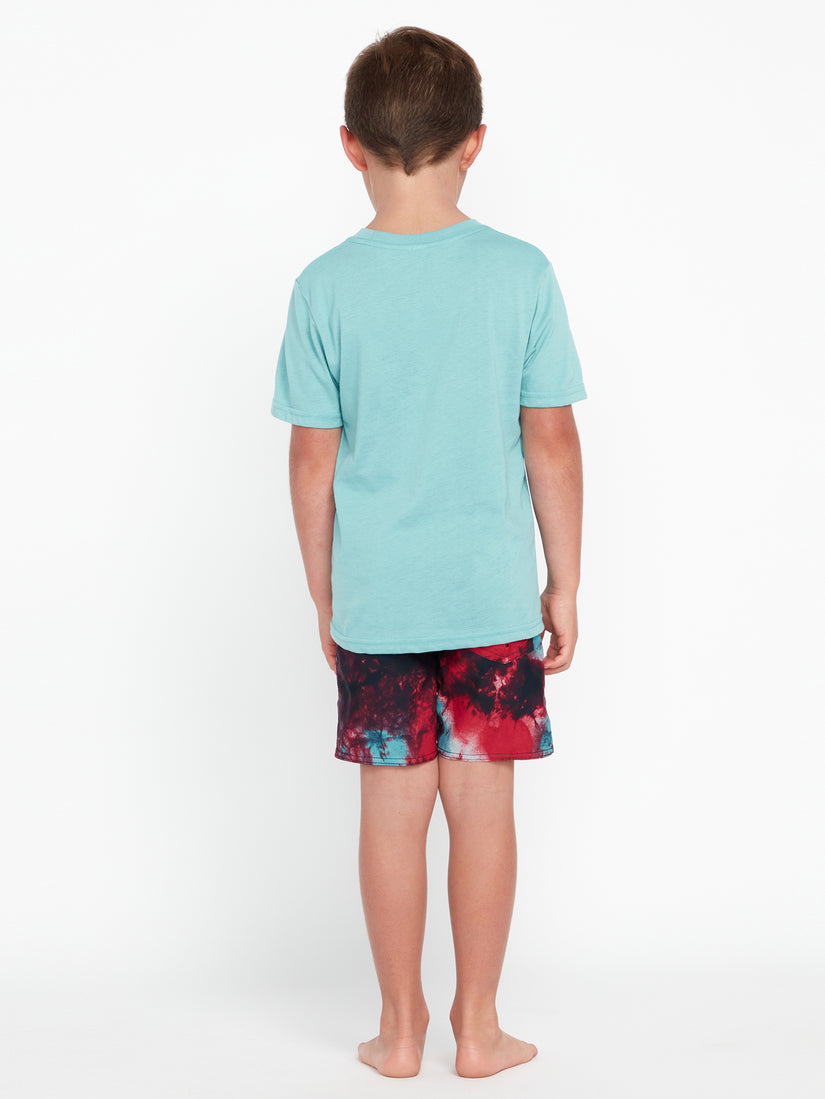 Little Boys Saturate Trunks - Red