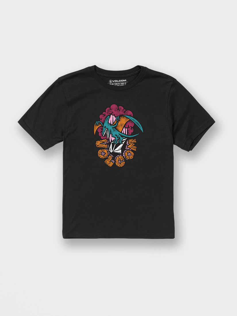 Little Boys Dactal Short Sleeve Tee - Black (Y3512335_BLK) [F]